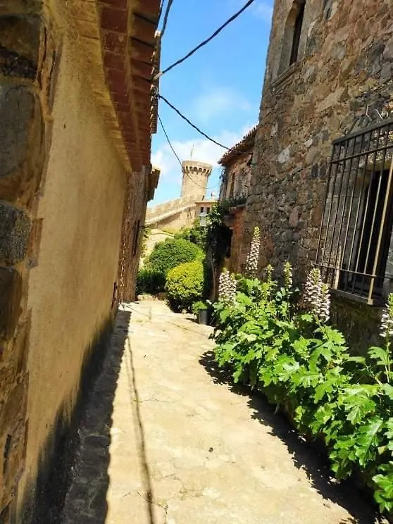 Maison d'hôtes Hotel San Jordi Tossa De Mar