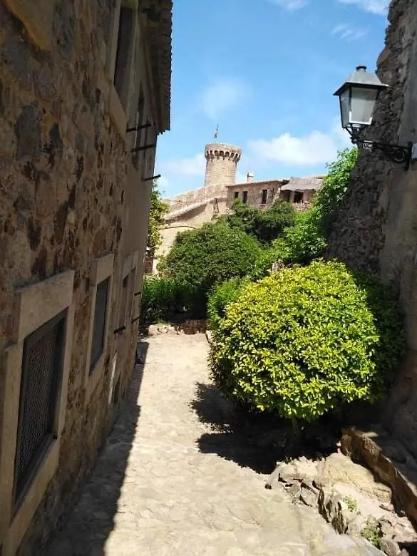 Maison d'hôtes Hotel San Jordi Tossa De Mar Espagne